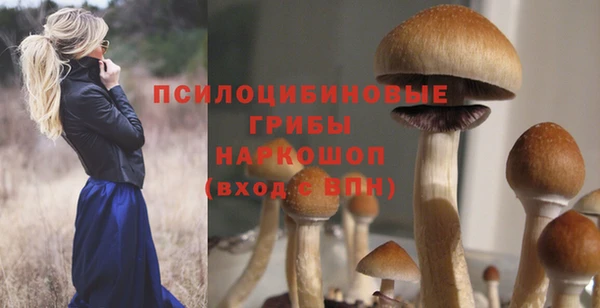амф Няндома