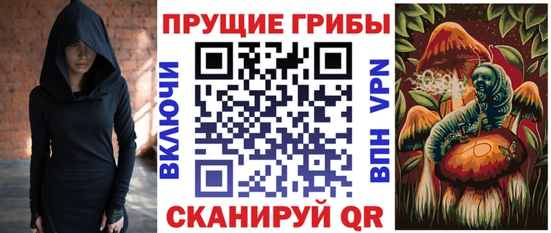 купить наркотик  Уржум  Псилоцибиновые грибы мицелий 