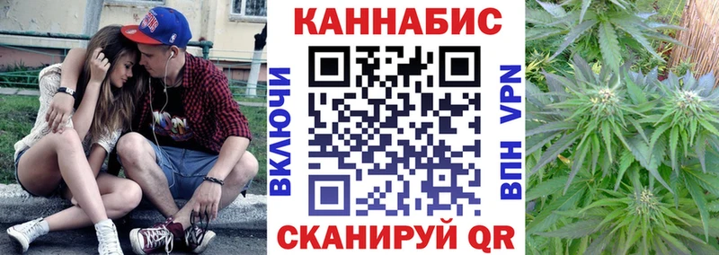 OMG ONION  Уржум  Бошки Шишки семена 